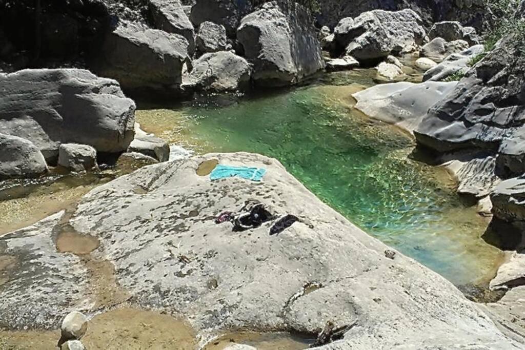 Pont De Valenti Mountain Retreat Lejlighed Girona Eksteriør billede
