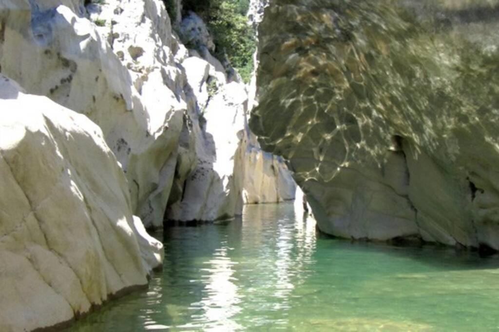 Pont De Valenti Mountain Retreat Lejlighed Girona Eksteriør billede