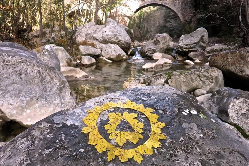 Pont De Valenti Mountain Retreat Lejlighed Girona Eksteriør billede