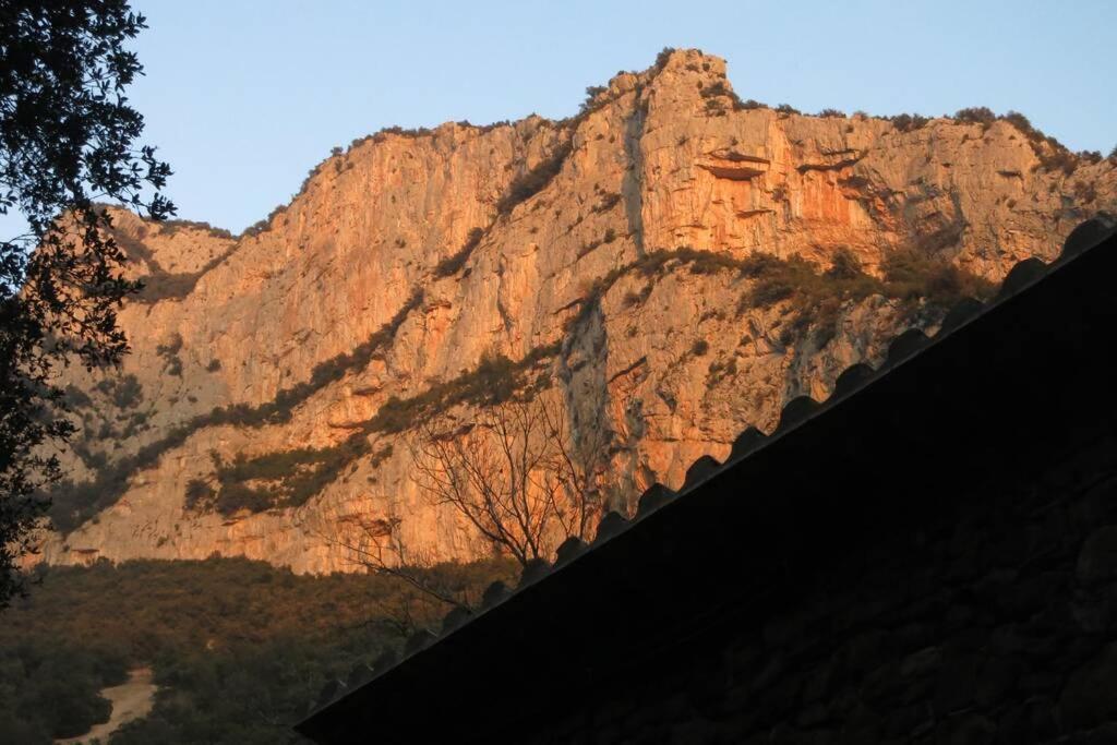 Pont De Valenti Mountain Retreat Lejlighed Girona Eksteriør billede
